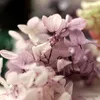 Flores secas velas cônicas de hortênsia adornam o natural de produtos imortalizados para casa e decorações de conforto parede ou mesa