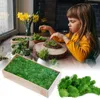 Decorative Flowers 500g Simulation Artificial Moss Green Eternal Life Grass Fake Plant For Home Wall Decor Garden MicroLandscape Material