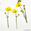 Dried Flowers 6-9cm/16pcs Natural color Pressed buttercup with Eternal flower for DIY Bookmark Gift Card christmas candlestick decoration