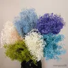 Gedroogde bloemen natuurlijke miljoen Babybreath boeket droge Eternell Gypsophila bloem Mini Babys adem bruiloft arrangement Home Decor