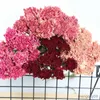 Suszone kwiaty komputery/pakiet Carnation Plant Mother Teacher's Day's Day's Day Buquet Home Party Wedding Decoration Fotografia