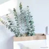 Suszone kwiaty 10pcs/zestaw dekoracji domu naturalny eukaliptus