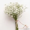 Gedroogde bloemen Babys Breath Boeket Natuurlijke Gypsophila Takken voor Home Decor Bruiloft Krans Bloemen Droge Bulk