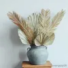 Dried Flowers 1pc Dry Palm Fan Leaves Sago Cycas Branch Natural Fruticose Dracaena Party Art Wall Hanging Wedding Decoration
