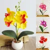 Gedroogde bloemenbundel Mini Phalaenopsis-boeket voor woondecoratie Kerstbruiloft decoratieve bloemenkransen Kunstmatig