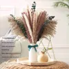 Getrocknete Blumen Blume Natur Flauschiges Gras Diy Hochzeit Party Dekoration Hase Kaninchen Home Decor Schilf Arrangemen