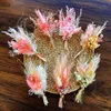 Dried Flowers 7pcs Mini Bouquet Flower Set Grass Home Decor DIY Wedding Card Cake Arrangement Photo Props