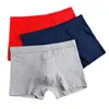 Underpants Luxury Male Panties Wide Waistband Boxer Nature Cotton Men Underwear Plus Size Cueca Shorts Homme Man Solid