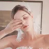 Haarspangen Strass Kristall Stirnbänder Hochzeit Braut Accessoires Feder Ohrringe Braut Tiaras Ornament Kopfschmuck Frauen Schmuck