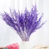 Flores secas 15/25 PCS Real Trigo Orelha Flor Decoração Natural Coelho Grama para Festa de Casamento DIY Artesanato Buquê