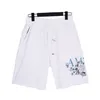 Men's Shorts Polar Style Summer Wear with Beach Out of the Street Pure Cotton Lycra 3w4re