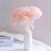 Dried Flowers 1pc 20cm Nature Fresh Preserved Anna Hydrangea Whole Branch Flower Photograph Wedding Home Garden Party Decoration