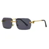 Wholesale of new frameless for men and women sunglasses trend metal Fried Dough Twists leg optical glasses