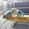Andra fågelförsörjningar leksaker som foder leksak naturligt träblock papegoja tugga för små och medelstora fåglar förbättra hälsoködet tristess