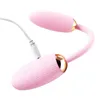 Double Télécommande Oeuf Saut Appareil Femme Vibration Rod G-point Stimulation Massage Produits Adultes