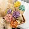 Getrocknete Blumen, 20 g, Babysbreath-Blumenstrauß, natürlich, frisch, konserviert, Schleierkraut, echter Schleierkraut-Blumenzweig für immer