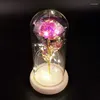 Fiori decorativi LED Rose conservate incantate in vetro Galaxy Rose Fiore eterno Luce Natale artificiale San Valentino Regalo per bambini