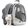 Cat Carriers Uitbreidbare Carrier Rugzak Portable Pet Puppy Travelling Outdoor Transporter Transparant Cats Bag Bubble