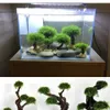 Decorations Fish Tank Landscaping Wood Water Plant Root Driftwood Tree Aquatic Plants Aquarium Grass Decorations Accessories No Moss 230625