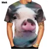 Camisetas femininas 2023 camisetas de verão novidade animal porco estampa 3d camiseta engraçada casual top respirável e confortável camiseta masculina