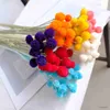 Dried Flowers 15pcs Colorful Natural Flower Bouquet DIY Beautiful Decor Party Gomphrena Globosa Artificial Strawberries Grass