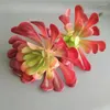 Flores decorativas Planta simulada Echeveriarunyonii Topsy Turvy Plantas suculentas artificiales Bonsai Variedad aleatoria sin maceta