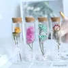 Kurutulmuş çiçekler şeffaf cam test tüpü basit niş çiçek ev dekor süsleri masa dekorasyon aksesuarları DeKoration