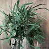 Сушеные цветы 100 г натуральный ремесло консервированные ветки эвкалипта листья проса букет DIY гирлянда свадебный декор