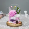 Decorative Flowers 12 17cm Preserved Natural Fresh Rose In Glass Dome Home Office Decor Eternal Gift Mother's Day Valentine's