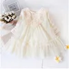 Retail! New brand newborn baby girls dress full of lace baby party dress infant baby wear kids children baby clothing L230625