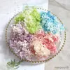 Fleurs séchées 5g véritables têtes d'hortensia fraîches naturelles conservées pour toujours Rose hortensias éternelles beauté Nail Art décalcomanies bijoux décor à la maison