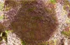 Dekorationer Anemone Nest Simulation Landscaping Stone Reef Aquarium 230625