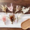 Gedroogde bloemen 7st Pampa Decoratie Mini Bloemboeket Kleine Melkfles Arrangement Brievenbuscadeau Bunny Tails Bruiloft Home Decor