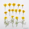 Fleurs séchées pressées 3-6cm, 60 pièces, Tagetes Patula, plantes à fleurs jaunes, herbier pour bijoux, marque-page, carte postale, étui de téléphone, fabrication