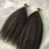 Partihandel kinky curly i-tip mänskligt hårförlängning mikro länk I tips lockiga hårförlängningar för svarta kvinnor