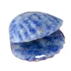 Handgemaakte Craved Gemstone Clam Ornament voor Home Decor Sea Shell Conch Beeldjes Accessoires Aquarium Decoratie