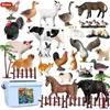 Jouets de transformation Robots Oenux Zoo Animaux Playset Simulation Sauvage Dinosaure Sealife Ferme Scènes Action Figure Modèle Mignon Miniature Enfants Jouet Cadeau Avec Boîte 230621