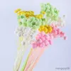 Fleurs séchées chrysanthème à boutons, 10 pièces, fleur fraîche, paquet de matériel de bricolage, Arrangement cadeau de haute qualité, décorations de mariage