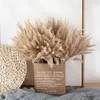 Dried Flowers Natural/White Big Reed Grass Phragmites Flower Bunch Wedding Party Decoration Tools