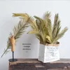 Fleurs séchées 2 pièces plante naturelle sagou cycas branche fruticuleuse feuille de Dracaena feuilles de palmier sèches fête art tenture murale décoration de mariage
