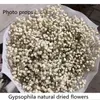 Fleurs décoratives 100g Big Bunch BabysBreath Naturel Séché Préservé Gypsophile Fleur Décor Maison Mariage Bouquet Saint Valentin Couple Cadeaux