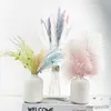 Dried Flowers Dream grass Decorative Feathers Decoration Home Design Birthday Party Decorations Wedding Accessories