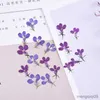 Dried Flowers 1.5cm/20pcs Nature Real Touch Flower Petals Pressed for DIY Candles Craft Bookmark Gift Card Flores secas Facial Decor