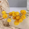Dried Flowers 10pcs Natural Real Strawberry Dry Flower DIY Artificial Floral Display Plant For Wedding Bouquet Home Room Party Decor