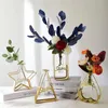 Vazolar berrak akrilik çiçek vazo şarap dolabı dekorasyonu basit hidroponik test tüpü kuru düzenleme masa dekor 230625