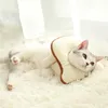 Fantasias de gato Cão de estimação Gatos Filhote de cachorro Desenhos animados Torrada macia Forma de pão Colar Cachecol Adereços para a cabeça