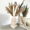 Fiori secchi Erba Phragmites naturale Bouquet di eucalipto Decorazioni per la casa Ornamenti per feste di nozze di bellezza