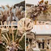 Fleurs séchées naturelles, herbe moelleuse, Phragmites, Arrangement de mariage, décoration de pièce maîtresse de Table, décoration de maison