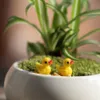 Planters Pots Cute Micro Landscape Flower Pot Mini Cactus Doll Miniature Rabbit Frog Garden Plant Pots Ornaments Balcony Patio Plant Pot Decor