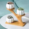 Planters Pots Unique Succulents Plant Pot Stand Bamboo Wood Succulent Plant Pots Holder Modern Flowerpots For Windowsill Tabletop Decor Garden